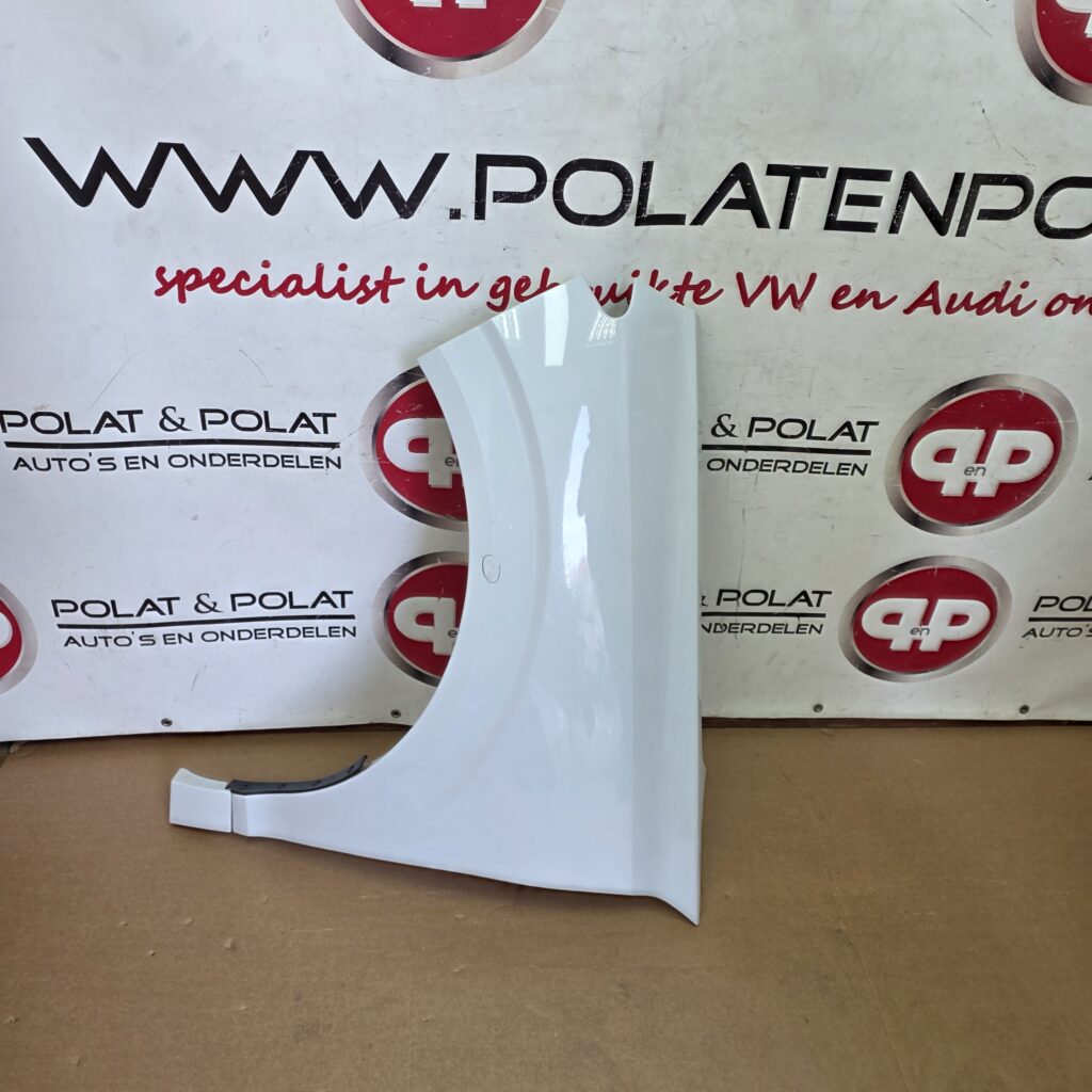 Cupra Terramar Splashguard left LS9R