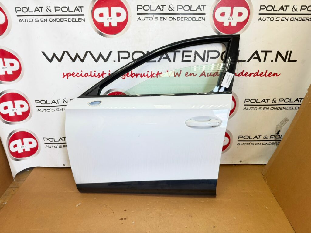 Cupra Formentor door left for LS9R