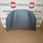 Cupra Terramar hood LS7E